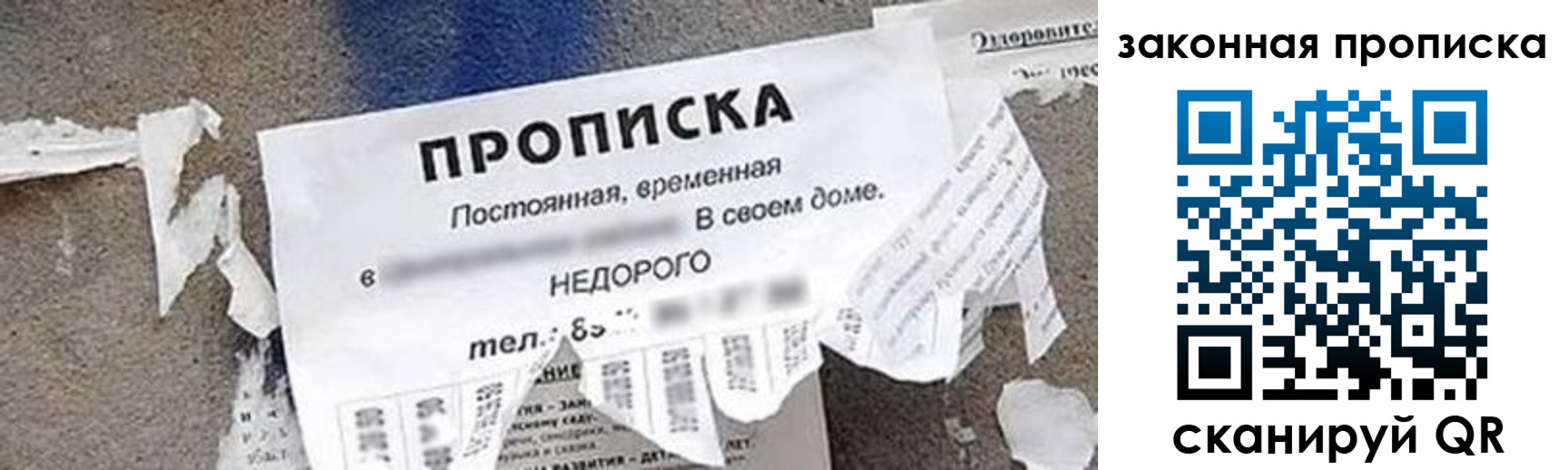 прописка иностранных граждан в Борзе